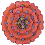 fleur-plafond-1