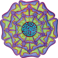 fleur-plafond-2