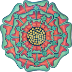 fleur-plafond-3